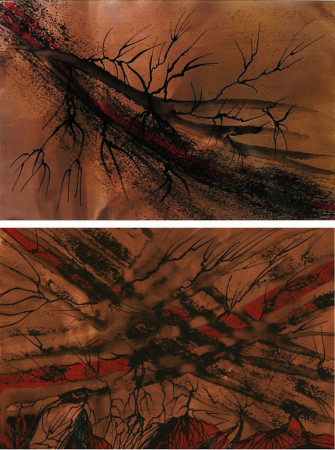 Natura arsa verso l' oscuro stige